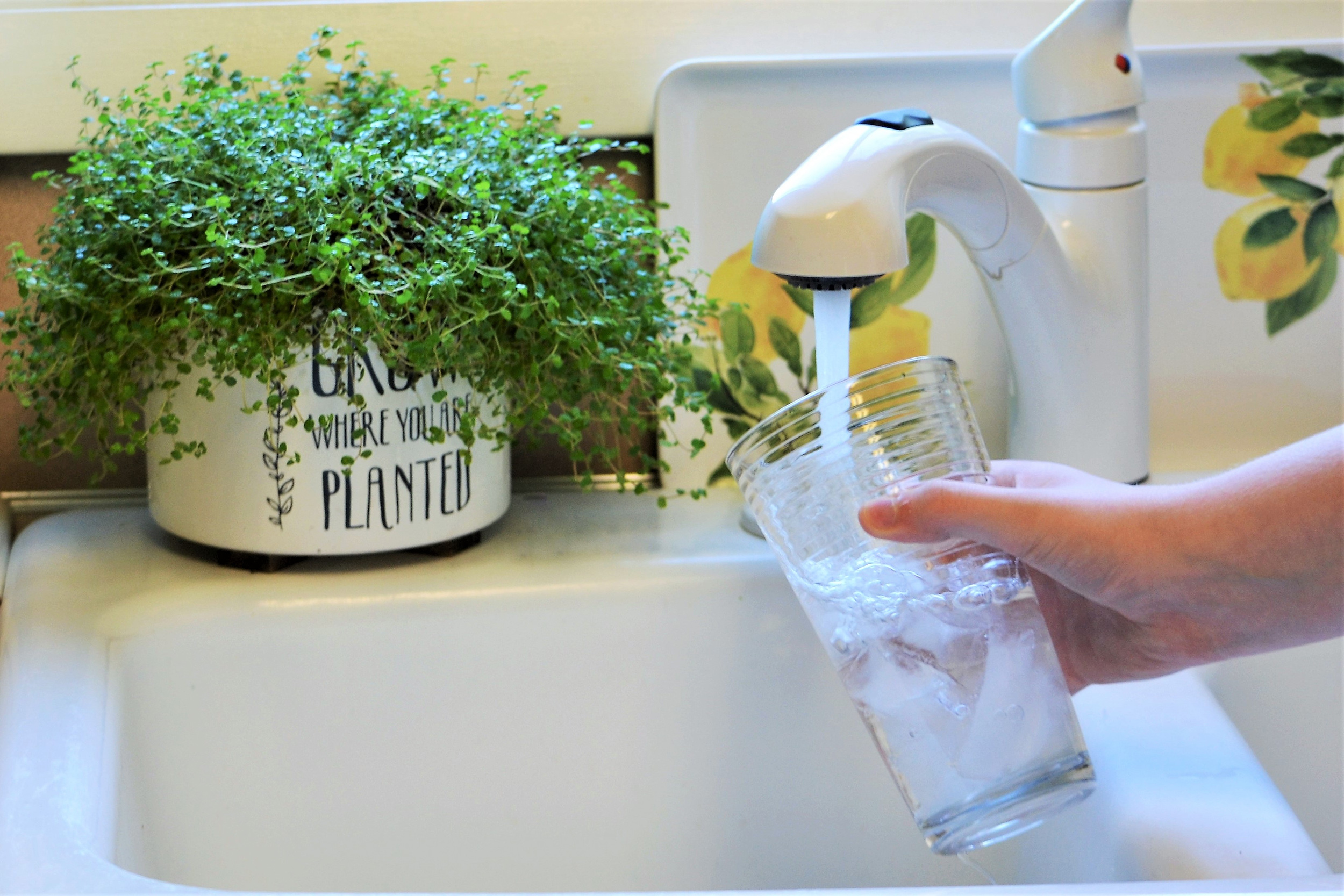 What's in your water?