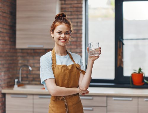 How to Choose the Best Houston Whole House Water Filter System