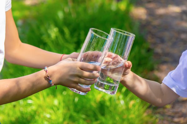 Little Elm Water Filter